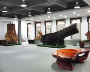 浙江藝術(shù)展示中心