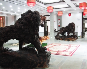 南陽藝術(shù)展示中心